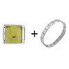  Leo  Italian Charm Bracelet FBT_X2_V1166Z_PG_STARTER