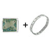  Pisces  Italian Charm Bracelet FBT_X2_V1170Z_PG_STARTER
