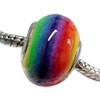 Vivid Rainbow Polymer Clay European  Beads 