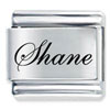 Edwardian Script Font Name Shane Laser Italian Charm