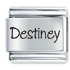  Name  Destiney Laser Italian Charm