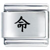 Chinese Life Laser Italian Charm