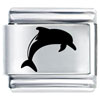 Laser  Dolphin  Italian Charm