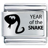 Year Of The  Snake  Laser  Italian   Charm 