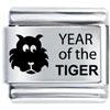 Year Of The Tiger Laser Italian Charm