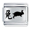 Chinese Year Of The Rabbit Laser  Italian  Charm