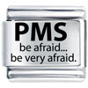 Pms Warning Laser Italian Charm
