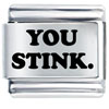 You Stink  Laser  Italian  Charm 