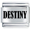 Destiny Laser Italian Charm