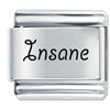  Letters  Insane Laser Italian Charm