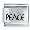  Peace  And  Dove  Laser Italian Charm