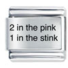 2 In The Pink 1 In The Stink Laser Italian Charm