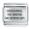 Consciousness Laser Italian Charm