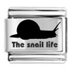 Snail Life Italian Charms  Laser  Italian Charm