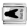 Fruit Fly Italian Charms  Laser  Italian Charm