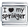 I My Springer Laser Italian Charm
