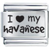 I Love My Havanese Laser Italian Charm