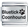 Animal Bluetick Coonhound Laser Italian Charm Bracelets L_SH83