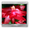 Red Flower Mega Italian Charm