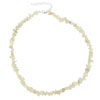 Shell Chip Necklace