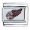 Nhl Detroit Red Wings Sports Italian Charm