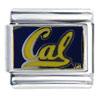 Uc Berkeley Licensed Italian Charm