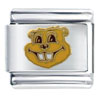 Minnesota Gopher Sports Italian Charm