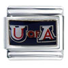 U Of A Arizona Sports Italian Charm