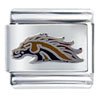 Western Michigan Bronco Sports Italian Charm