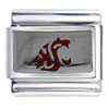 Wsu Washington State Sports Italian Charm