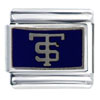 University Of St Thomas Sports Italian Charm