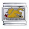 Ferris State University Sports Italian Charm