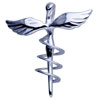 Lpn Badge 925 Sterling Silver Pendant