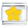 Beautiful Yellow  Flower   Italian   Charm 