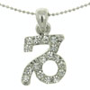 Capricorn Zodiac Pendant