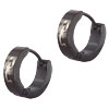 Stainless Steel Black Scorpion Earrings