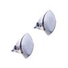 Olive Leaf  Stainless   Steel  Earrings