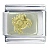 Cancer Crab Italian Charm