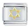 Gold Tone Star Of David Italian Charm