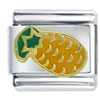  Tropical  Pineapple Italian Charm