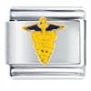 Symbol Of Medicine Italian Charm