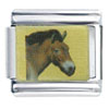 Mongolian Horse Photo Italian Charm