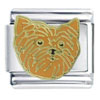 Terrier  Face  Italian Charm