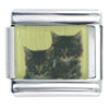 Kitten  Sisters  Photo Italian Charm