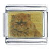 Persian Photo Italian Charm