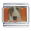 Pointer Photo Italian Charm