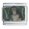Chimpanzee Italian Charm
