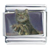 Gray Tabby Cat Italian Charm
