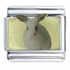 Rabbit Photo Italian Charm