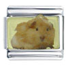 Guinea Pig Italian Charm